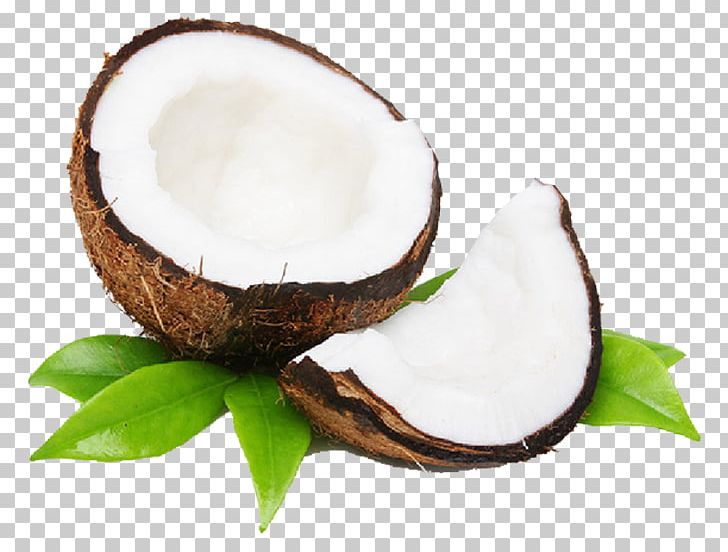 Tea Juice Coconut Water Frozen Yogurt Organic Food PNG, Clipart, Coconut Leaf, Coconut Leaves, Coconut Milk, Coconut Oil, Coconut Sugar Free PNG Download