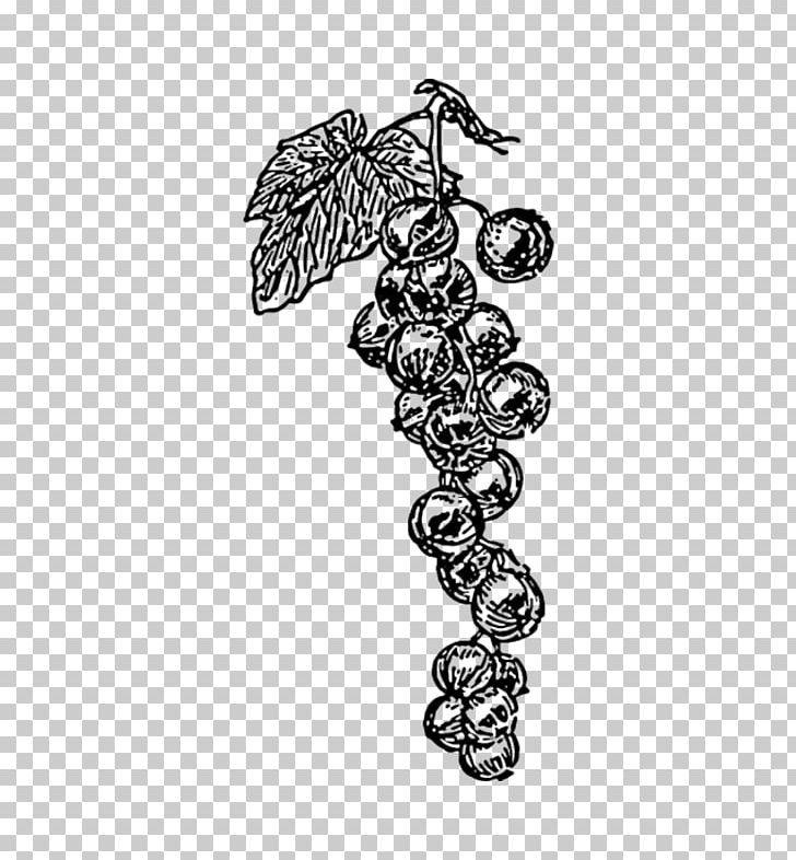 Common Grape Vine Wine PNG, Clipart, Black And White, Body Jewelry, Common Grape Vine, Computer Icons, Download Free PNG Download