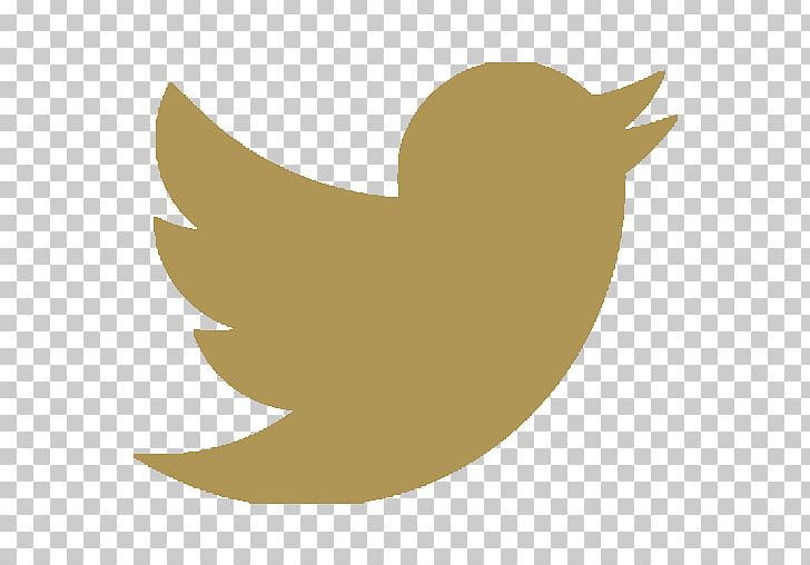 Logo YouTube Officine BRERA Twitter Inc. Tangla Hotel Brussels PNG, Clipart, Advertising, Art Director, Beak, Bird, Business Free PNG Download