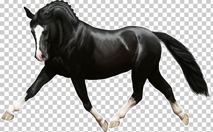Mane Pony Rein Mustang Stallion PNG, Clipart, Bridle, Deviantart, Halter, Horse, Horse Harness Free PNG Download