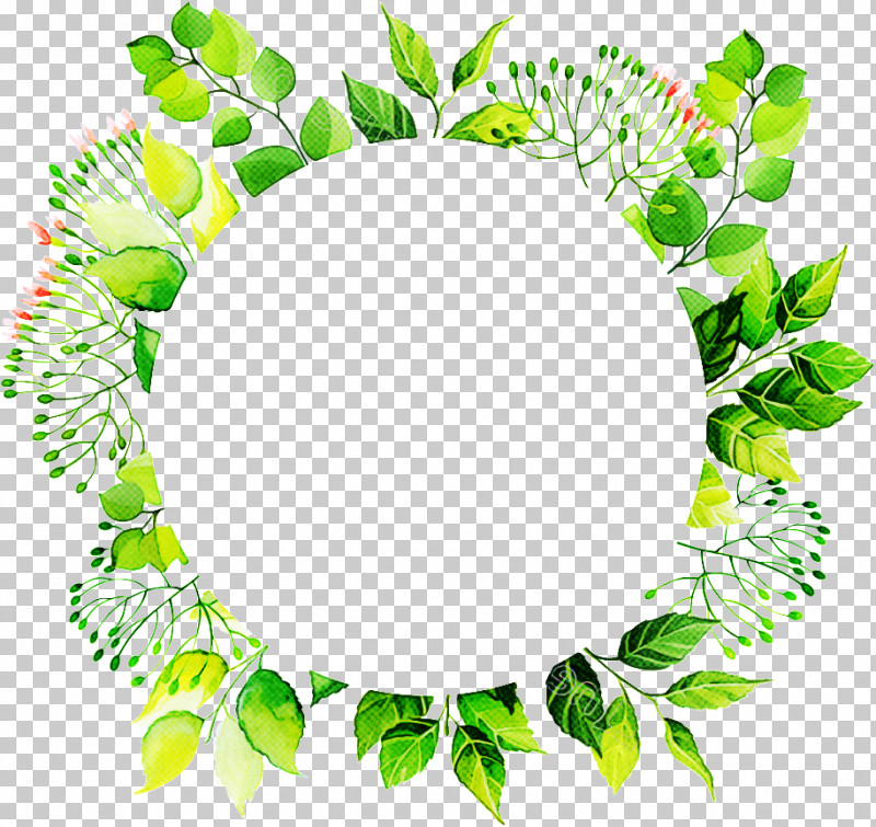 Green Leaf Circle Plant Flower PNG, Clipart, Circle, Flower, Green, Leaf, Lei Free PNG Download