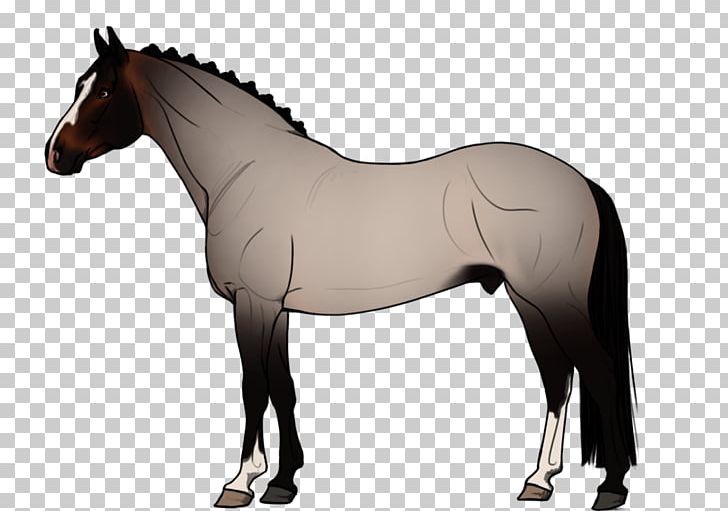 Horse Mane Foal Stallion Rein PNG, Clipart, Animals, Baby Boom, Bit, Breeding Season, Bridle Free PNG Download