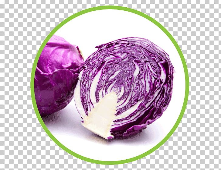 Red Cabbage Cauliflower Capitata Group Brussels Sprout Chou PNG, Clipart, Apple, Brassica Oleracea, Broccoli, Brussels Sprout, Cabbages Free PNG Download