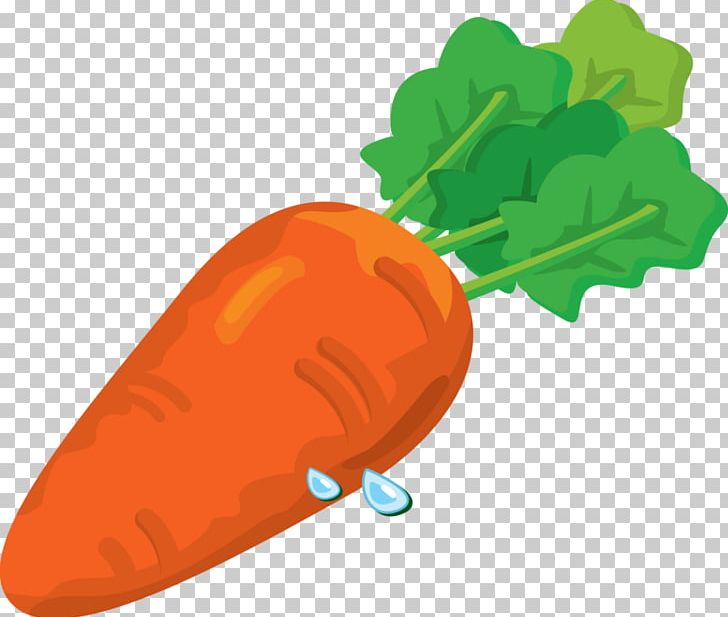 Carrot Vegetable Desktop PNG, Clipart, Arracacia Xanthorrhiza, Carrot, Desktop Wallpaper, Food, Food Group Free PNG Download