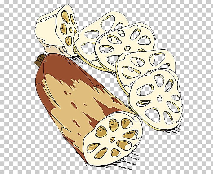 Lotus Root Cartoon Illustration PNG, Clipart, Cartoon, Commodity, Download, Drawing, Food Free PNG Download