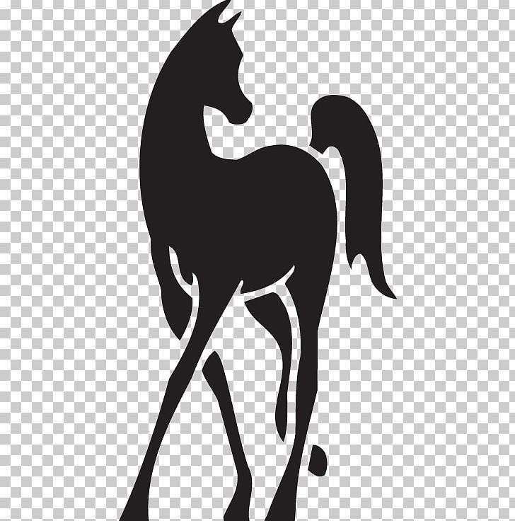 Mustang Arabian Horse Stallion Foal Pony PNG, Clipart, Arabian, Arabian Horse, Fictional Character, Horse, Horse Logo Free PNG Download