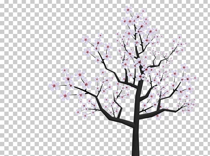 National Cherry Blossom Festival Drawing PNG, Clipart, Blossom, Branch, Cartoon, Cherry, Cherry Blossom Free PNG Download