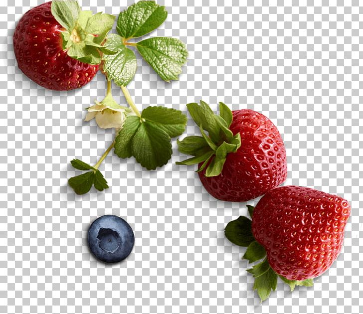 Shortcake Cupcake Strawberry Raspberry PNG, Clipart, Berry, Biscuits, Blackberry, Blueberries, Blueberry Free PNG Download