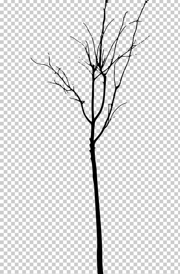 Twig Tree Branch PNG, Clipart, Bare, Black And White, Branch, Drawing, Flora Free PNG Download