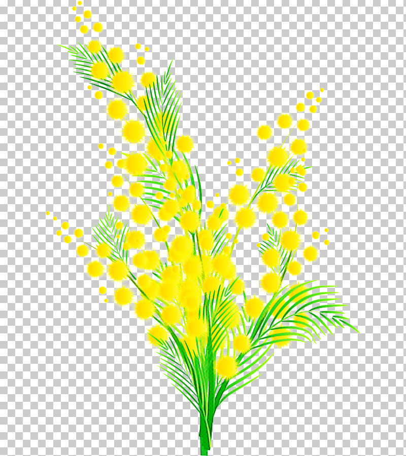 Yellow Leaf Plant Grass Flower PNG, Clipart, Branch, Flower, Grass, Leaf, Pedicel Free PNG Download