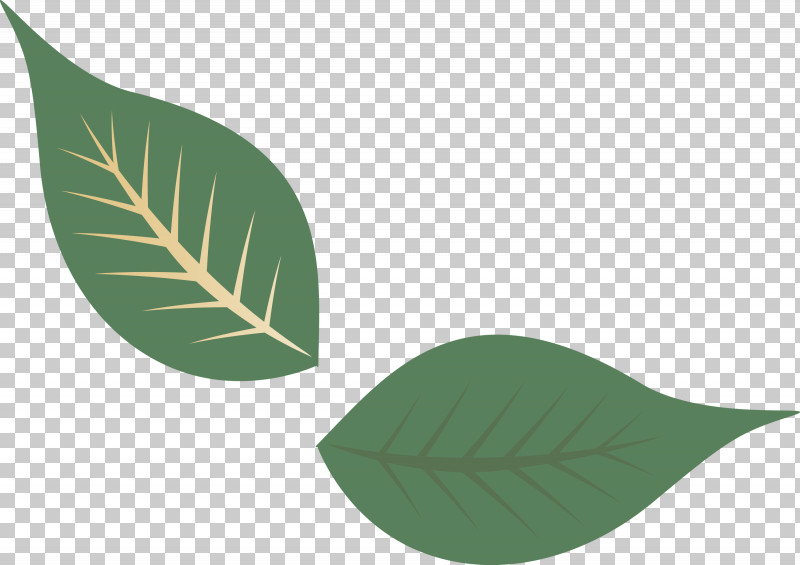 Fall Leaf Autumn Leaf PNG, Clipart, Autumn Leaf, Biology, Fall Leaf, Green, Leaf Free PNG Download