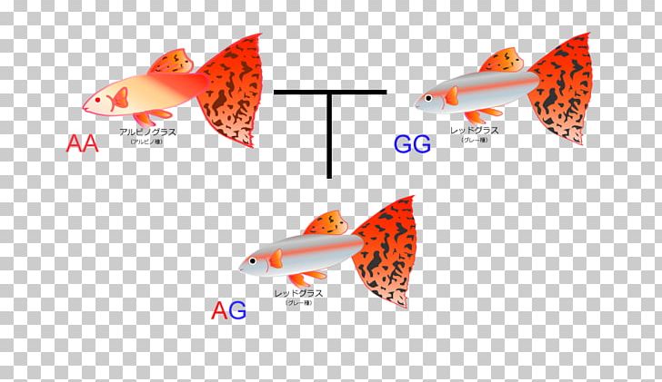 Bluegrass Geneticist Heredity PNG, Clipart, Albinism, Bluegrass, Fin, Fish, Gene Free PNG Download