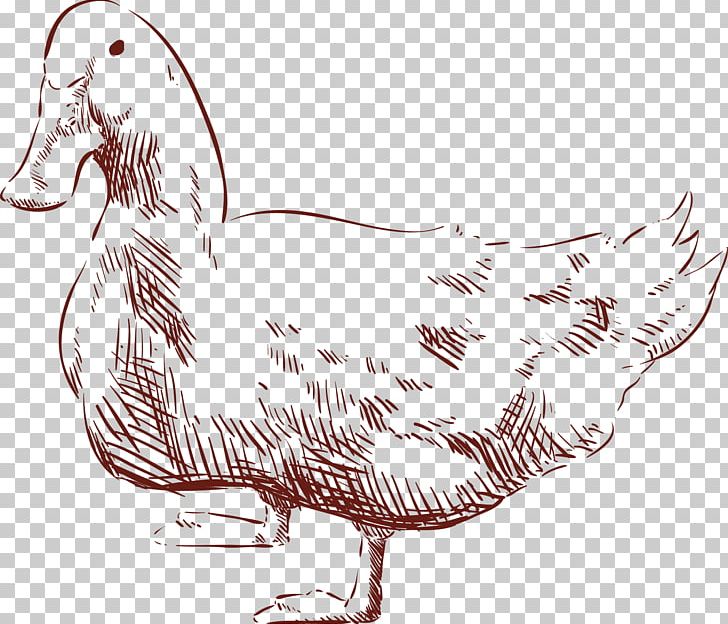 Duck Chicken Drawing Animal PNG, Clipart, Animal, Animals, Art, Beak, Bird Free PNG Download