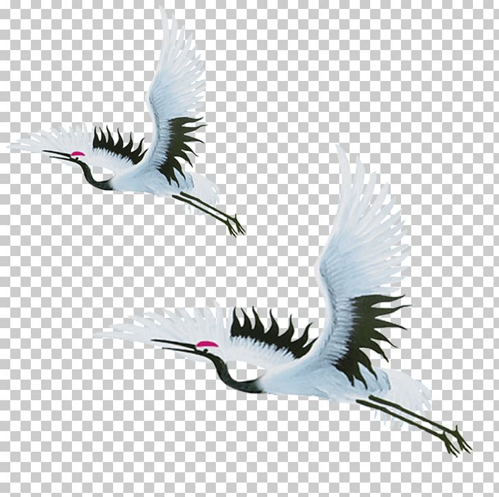 China Red-crowned Crane Bird PNG, Clipart, Advertising, Android, Animal, Beak, Crane Free PNG Download