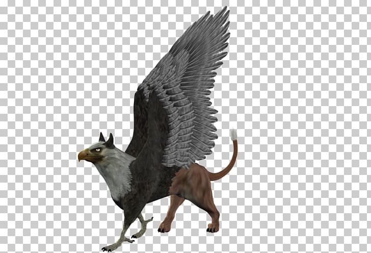 Griffin PNG, Clipart, 3d Computer Graphics, Art, Carnivoran, Cat, Demon Free PNG Download