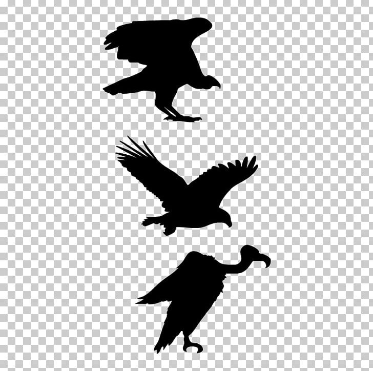Silhouette Drawing PNG, Clipart, Animals, Bald Eagle, Beak, Bird, Bird Of Prey Free PNG Download