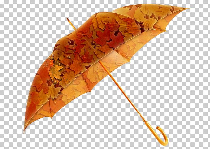 Umbrella Amazon.com Rain 雨具 Waterproofing PNG, Clipart, Amazoncom, Clothing Accessories, Fashion, Fashion Accessory, Golf Free PNG Download