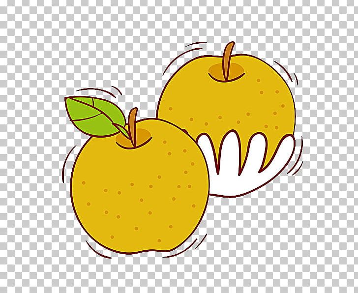 Asian Pear PNG, Clipart, Auglis, Cartoon, Food, Fruit, Hand Free PNG Download