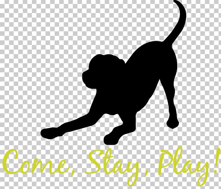 Cat Dog Breed Pet Sitting Dog Daycare PNG, Clipart, Animals, Big Cats, Black, Black And White, Breed Free PNG Download