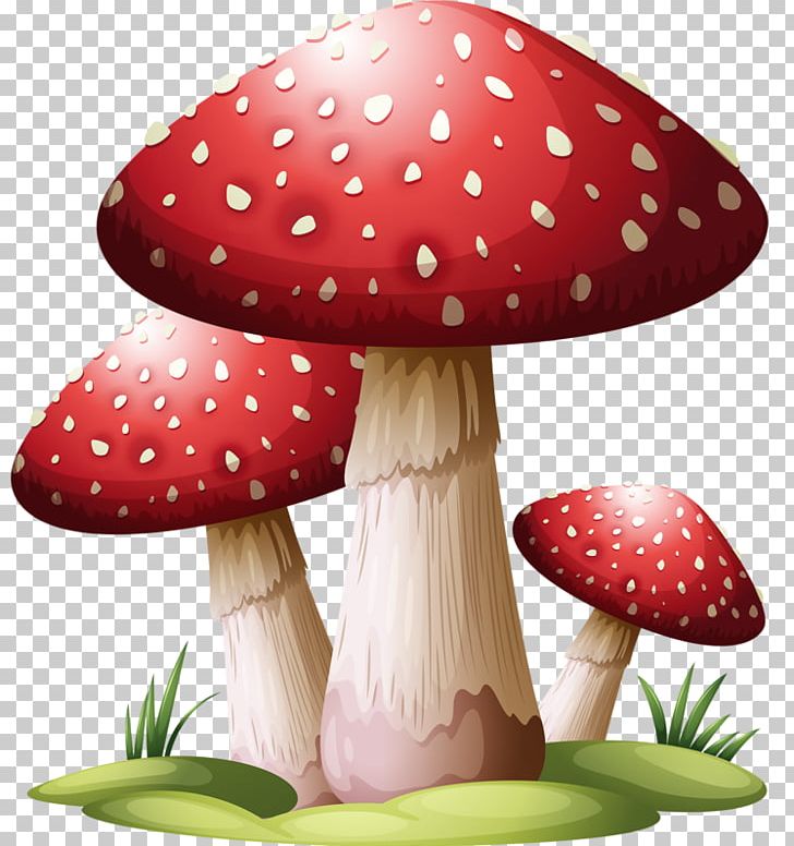 Common Mushroom Puffball PNG, Clipart, Basidiospore, Common Mushroom, Drawing, Lamella, Mushroom Free PNG Download
