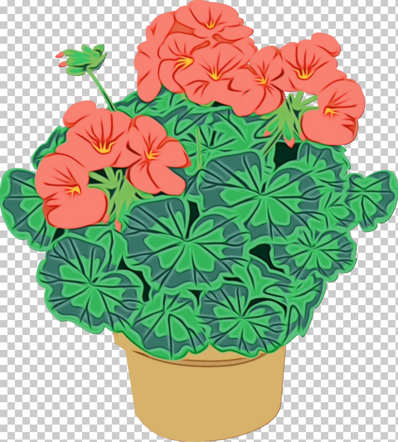 Flower Plant Flowerpot Petal Impatiens PNG, Clipart, Flower, Flowerpot, Geranium, Houseplant, Impatiens Free PNG Download