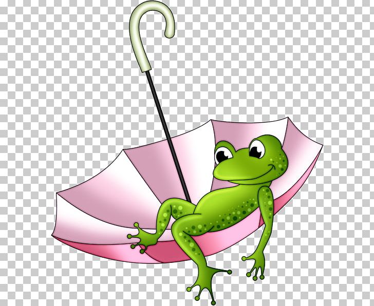 Frog Drawing PNG, Clipart, Amphibian, Amphibians, Animals, Art, Clip Free PNG Download