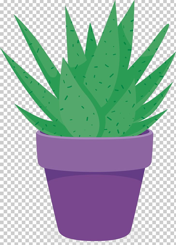Aloe Vera Purple Flowerpot Plant PNG, Clipart, Aloe, Aloe Vector, Bonsai, Euclidean Vector, Flower Free PNG Download
