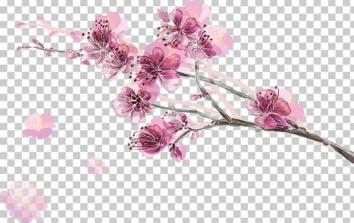 Pink Color Cherry Blossom Illustration PNG, Clipart, Artificial Flower, Blossom, Blue, Branch, Cherry Free PNG Download