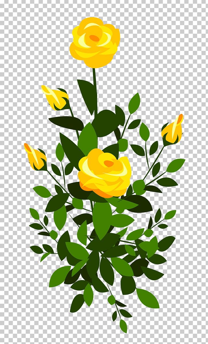 Rose Shrub Yellow PNG, Clipart, Artwork, Bush Cliparts, Cut Flowers, Daisy, Drawing Free PNG Download
