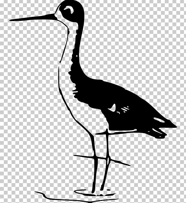 Bird Eurasian Magpie Stilt PNG, Clipart, Animals, Beak, Bird, Bird Flight, Black And White Free PNG Download