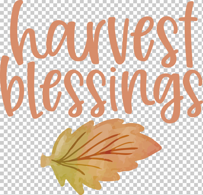 HARVEST BLESSINGS Harvest Thanksgiving PNG, Clipart, Autumn, Biology, Harvest, Harvest Blessings, Leaf Free PNG Download