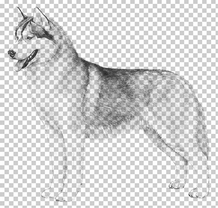 The Siberian Husky Boxer Puppy PNG, Clipart, Animal, Animals, Carnivoran, Dog Breed, Dog Breed Group Free PNG Download