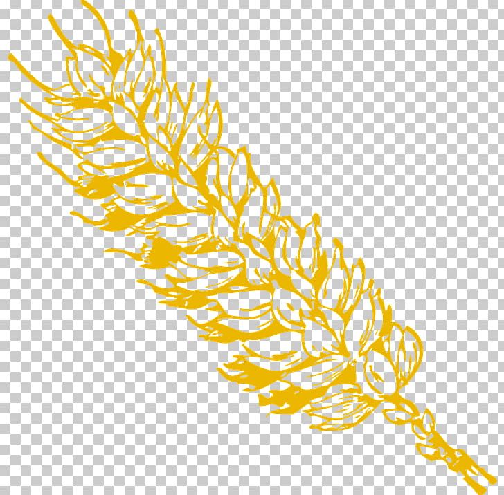 Wheat Grain PNG, Clipart, Branch, Commodity, Computer Icons, Download, Ear Free PNG Download