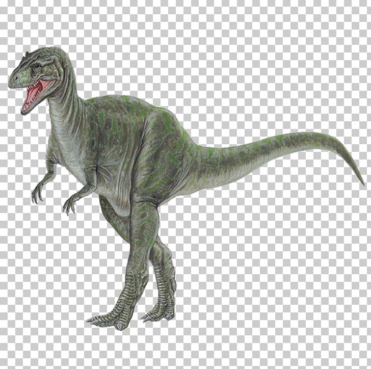 Tyrannosaurus Allosaurus Stegosaurus Dinosaur Apatosaurus PNG, Clipart, 3d Dinosaurs, Allosaurus, Animal, Apatosaurus, Cartoon Dinosaur Free PNG Download