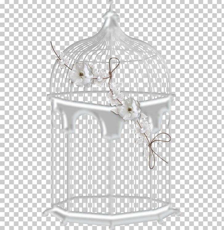 Birdcage PNG, Clipart, Bed Frame, Bird, Birdcage, Blanche, Boda Free PNG Download