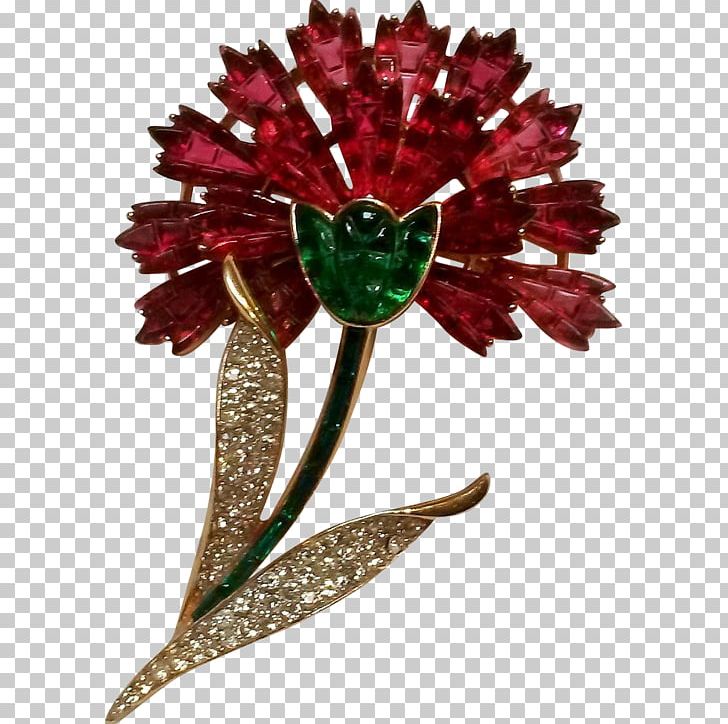 Celosia Cristata Mind Map Plant Idea PNG, Clipart, Brooch, Celosia Cristata, Cocks Comb, Cut Flowers, Fasciation Free PNG Download