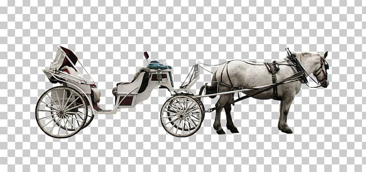 Horse-drawn Vehicle Carriage Horse And Buggy Coach PNG, Clipart, Animals, Car, Carriage, Cart, Chariot Free PNG Download