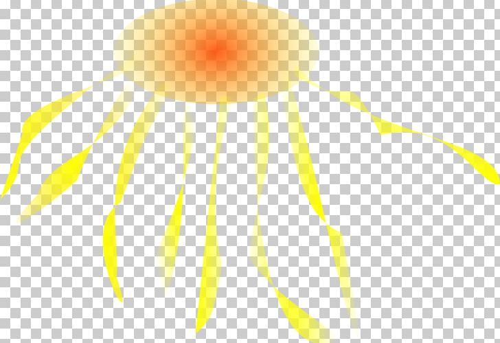 Jellyfish PNG, Clipart, Animal, Jellyfish, Line, Miscellaneous, Orange Free PNG Download
