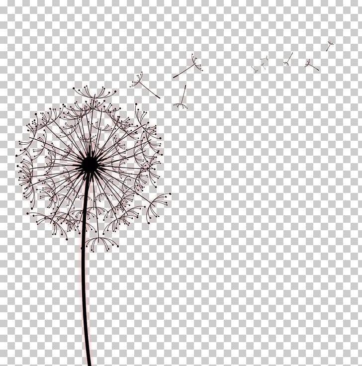 Paper Common Dandelion Drawing Photography PNG, Clipart, Business, Christmas Decoration, Circle, Dandelion, Decorative Free PNG Download