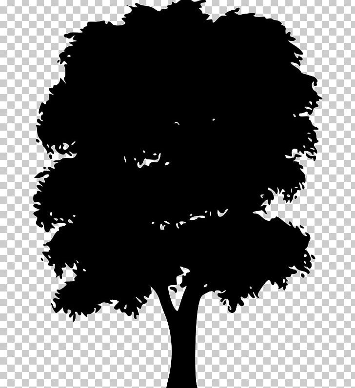 Silhouette Tree PNG, Clipart, Animals, Black, Black And White, Branch, Computer Icons Free PNG Download