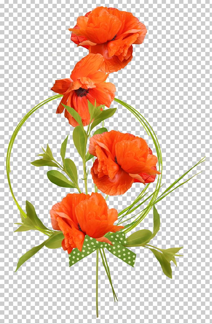 Flower PNG, Clipart, Coquelicot, Cut Flower, Digital Image, Flower, Flower Arranging Free PNG Download