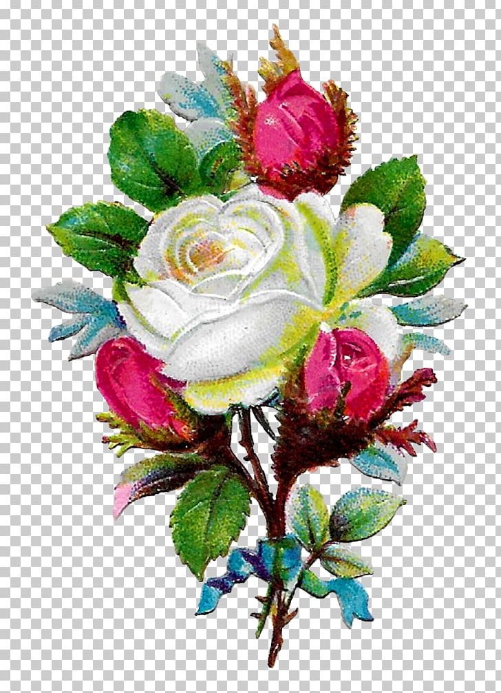 Garden Roses Floral Design Cabbage Rose Cut Flowers PNG, Clipart, Artificial Flower, Cut Flowers, Decoupage, Floral Design, Floristry Free PNG Download