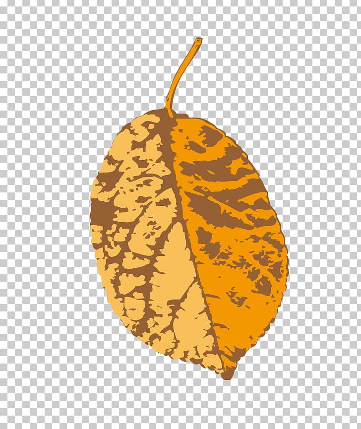 Leaf Yellow Illustration PNG, Clipart, Autumn Leaf, Download, Encapsulated Postscript, Euclidean Vector, Fall Free PNG Download