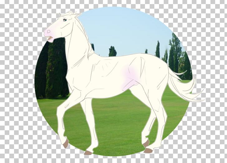 Pony Mustang Foal Stallion Mare PNG, Clipart, Camel, Camel Like Mammal, Character, Fiction, Fictional Character Free PNG Download