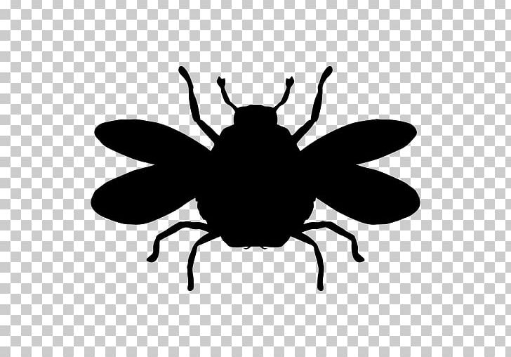Bumblebee Insect PNG, Clipart, Arthropod, Bee, Black And White, Bumble, Bumblebee Free PNG Download