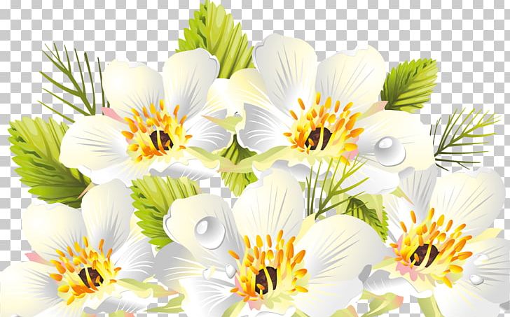 Flower PNG, Clipart, Border Art, Cdr, Chrysanths, Cut Flowers, Daisy Free PNG Download