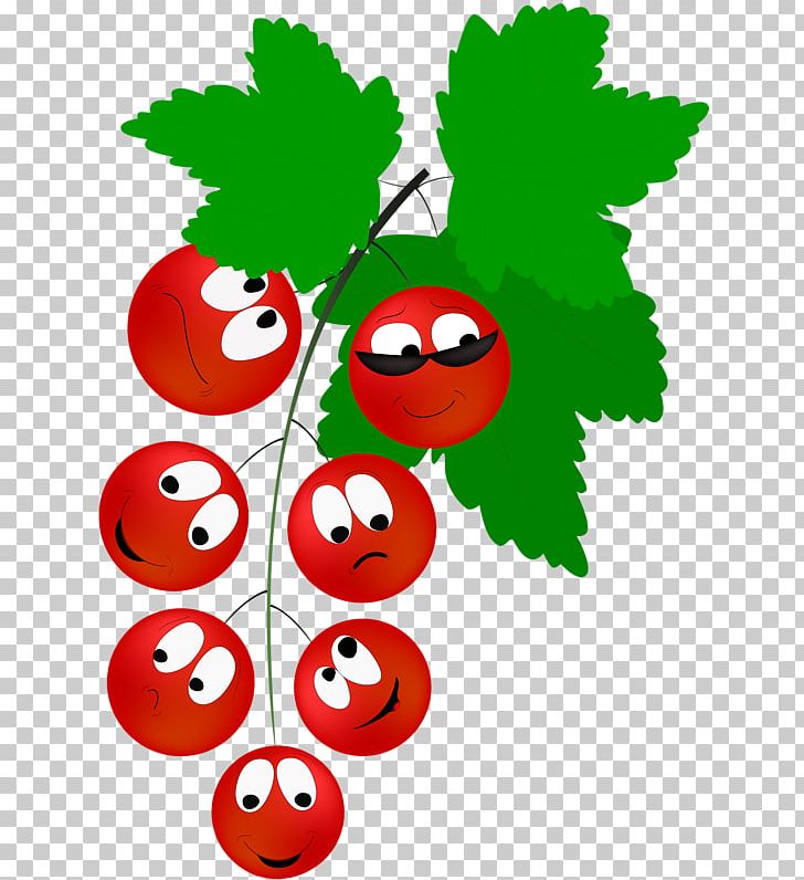 Redcurrant Berry Vegetable Drawing PNG, Clipart, Animation, Bell Pepper, Blueberry, Cartoon, Currant Free PNG Download