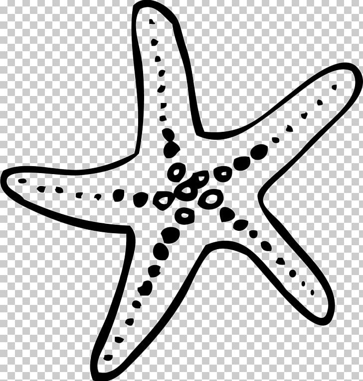 Starfish Wedding Studio Fotogold Echinoderm Elopement PNG, Clipart, Animals, Black And White, Child, Doodle, Echinoderm Free PNG Download