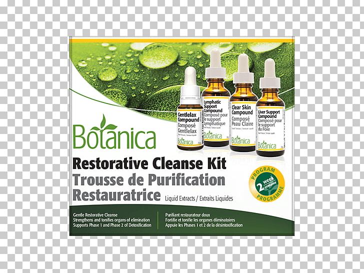 Kombucha Detoxification Herb Food Health PNG, Clipart, Advertising, Botanica, Brand, Capsule, Detoxification Free PNG Download