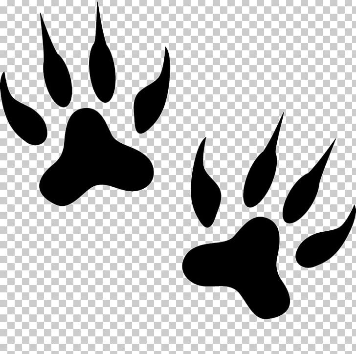 Tiger Leopard Lion Silhouette Cat PNG, Clipart, Animal, Black, Black And White, Cartoon, Cat Free PNG Download